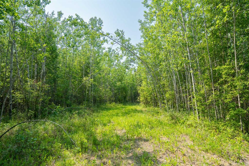 Picture for Lot 16 Estates of East Mountain  