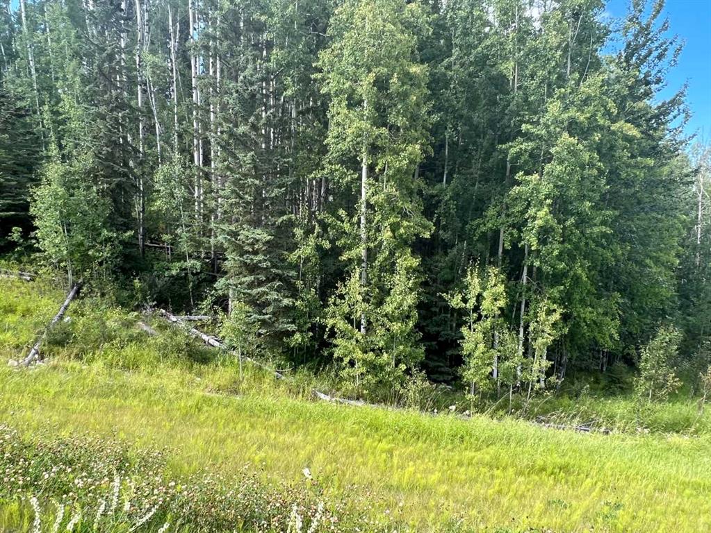 Picture for #43 River Ridge Estates  