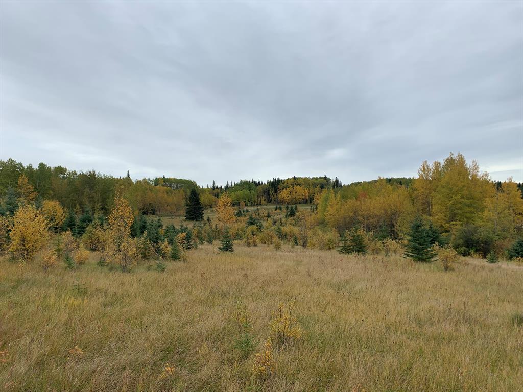 Picture for Highway 16 and Range Road 184  