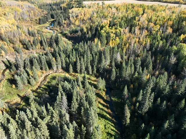 Picture for  PT-NW-6-66-22-W4  