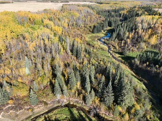 Picture for  PT-NW-6-66-22-W4  