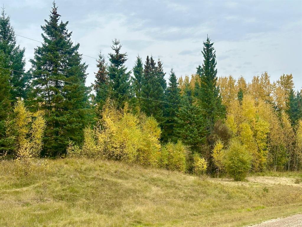 Picture for Lot 1 Mountain Springs  