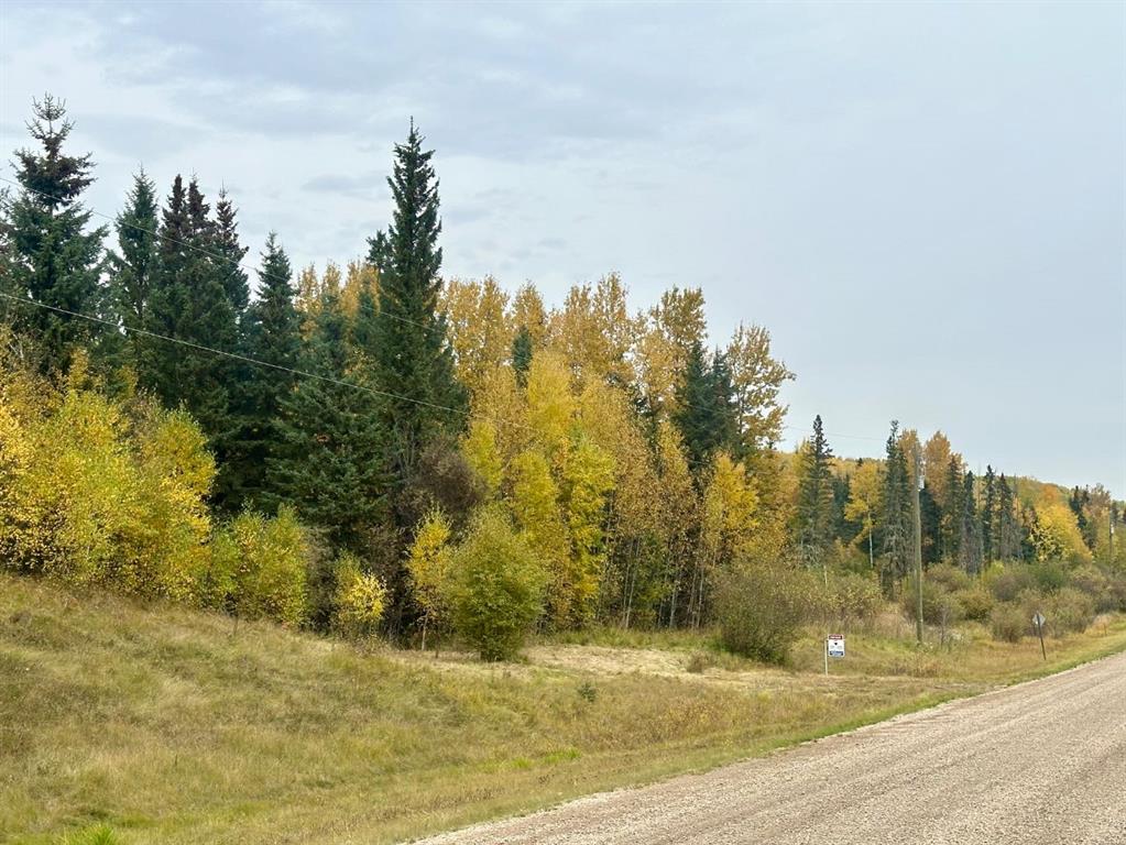 Picture for Lot 1 Mountain Springs  