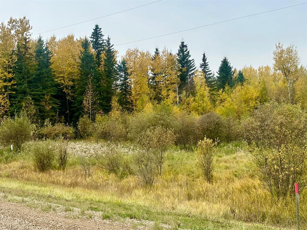 Picture for Lot 1 Mountain Springs  