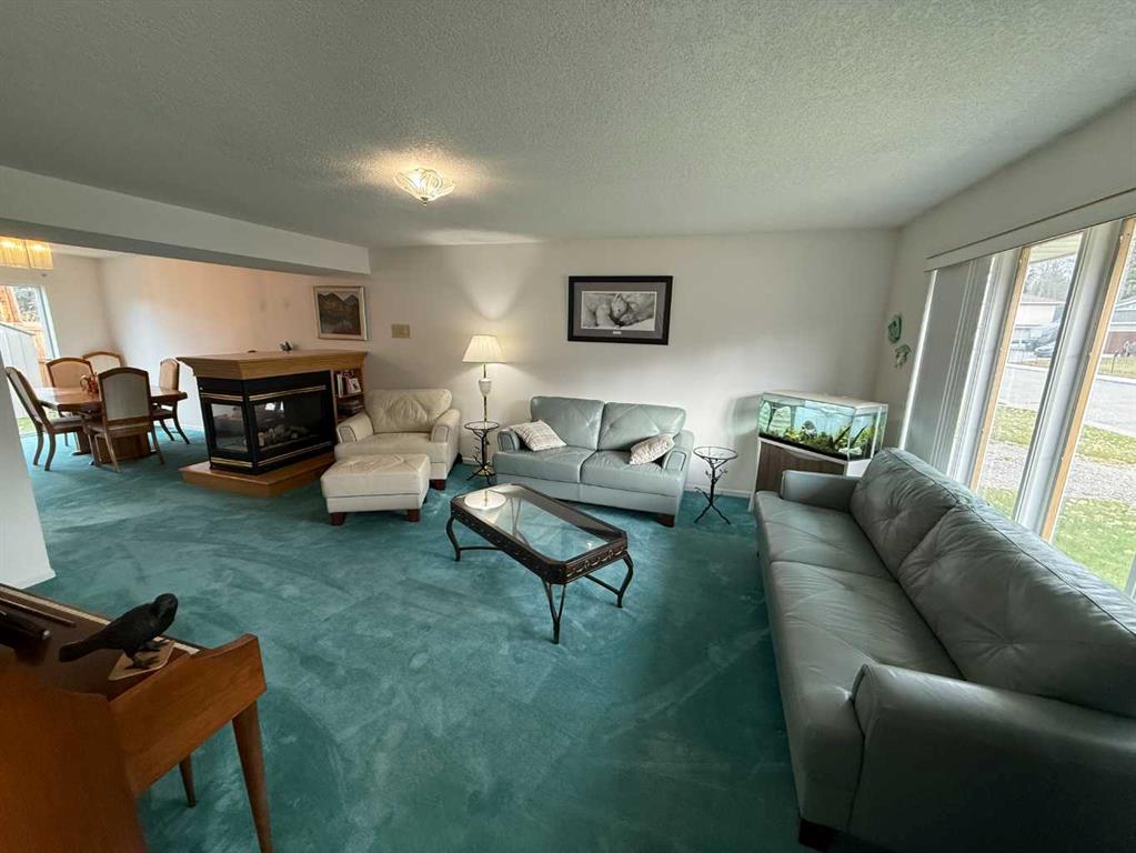 Picture for 104 Mistaya Road 