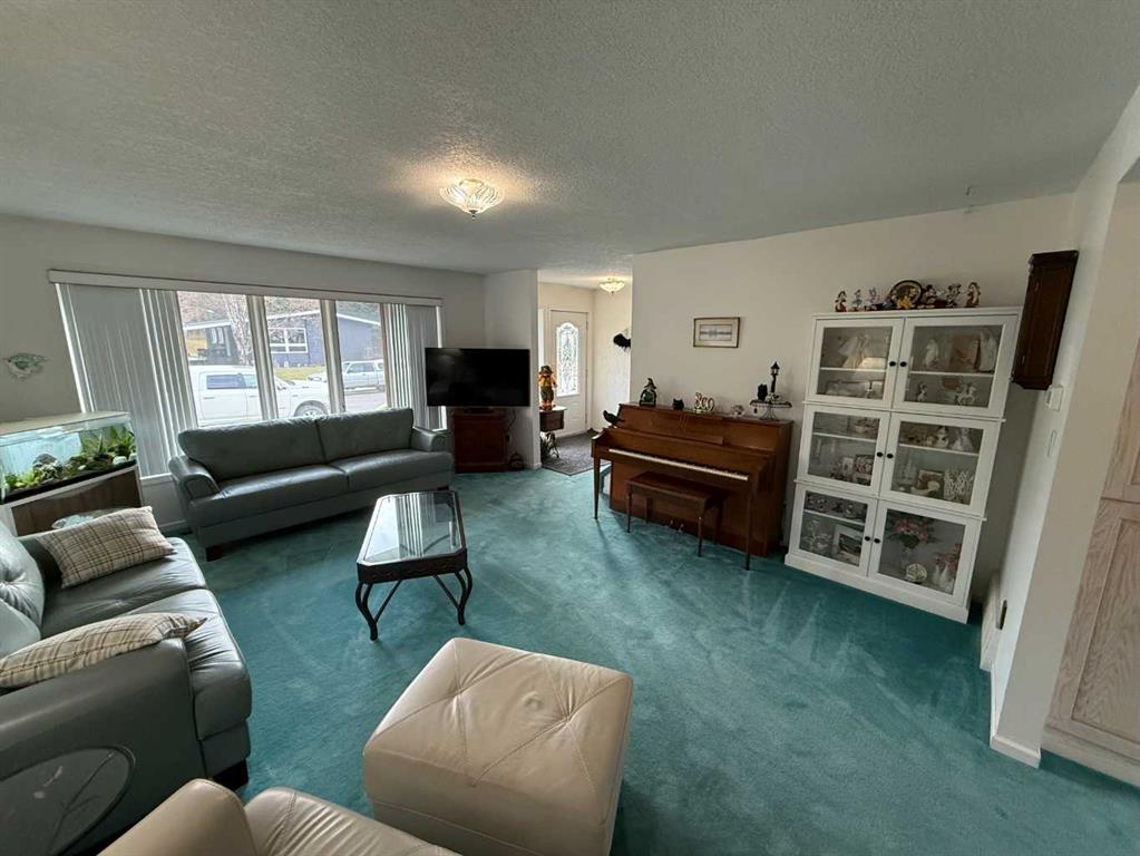 Picture for 104 Mistaya Road 