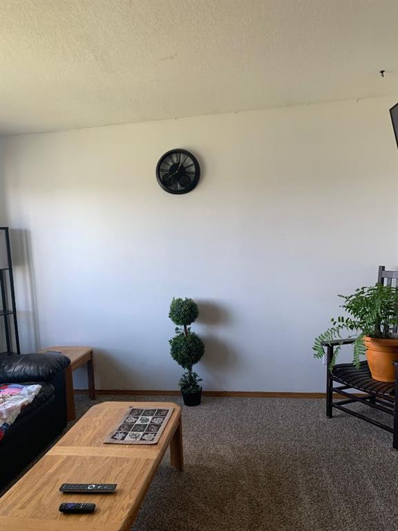 Picture for 121 Mink Creek Road 