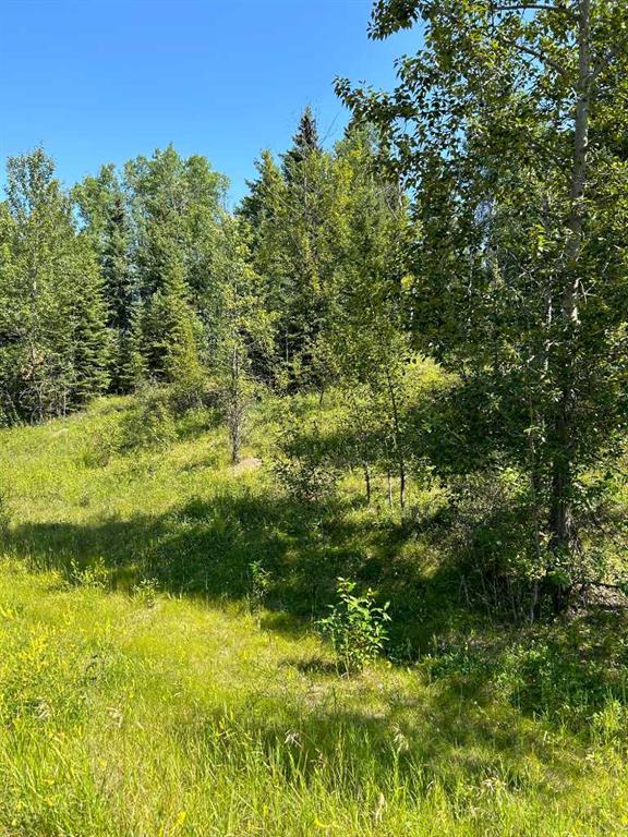 Picture for LOT R3 WESTRIDGE ROAD  