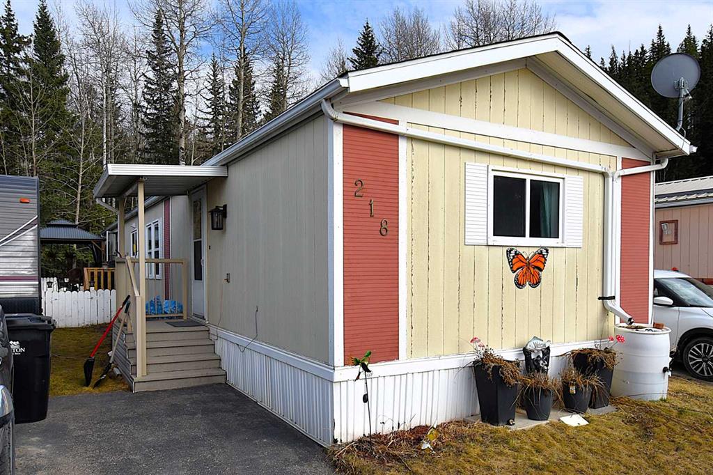 Picture for 218 Skogg Avenue 