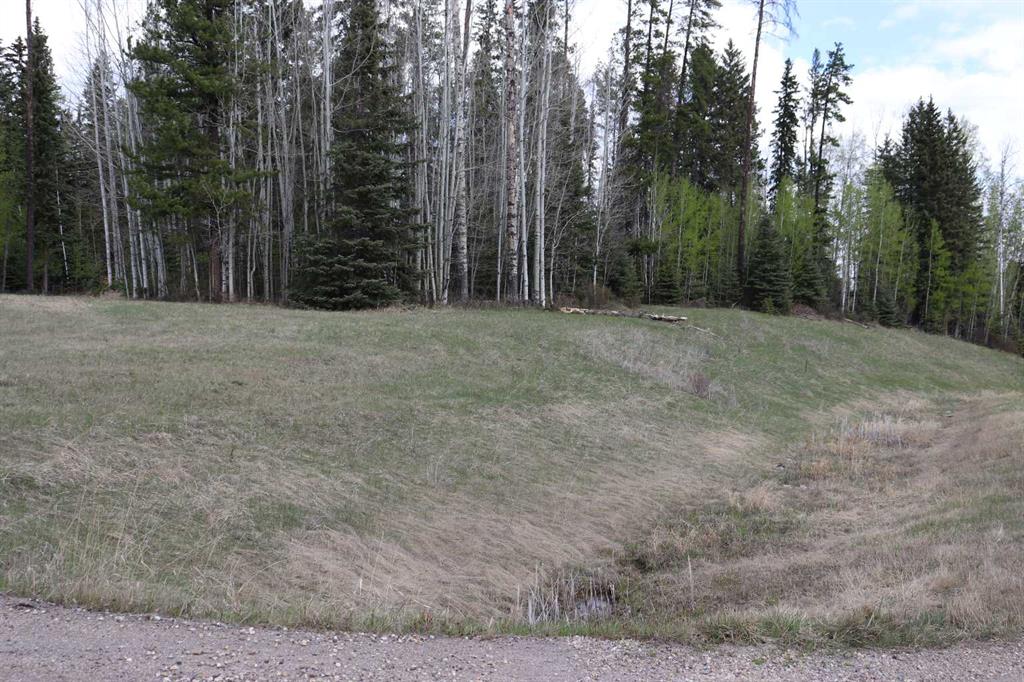 Picture for 48, 16511 Township Road 532A  