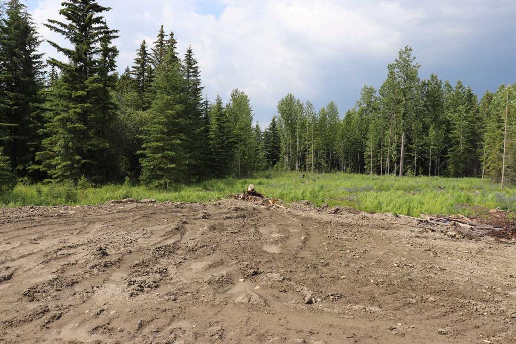 Picture for 53428 A Range Road 170  