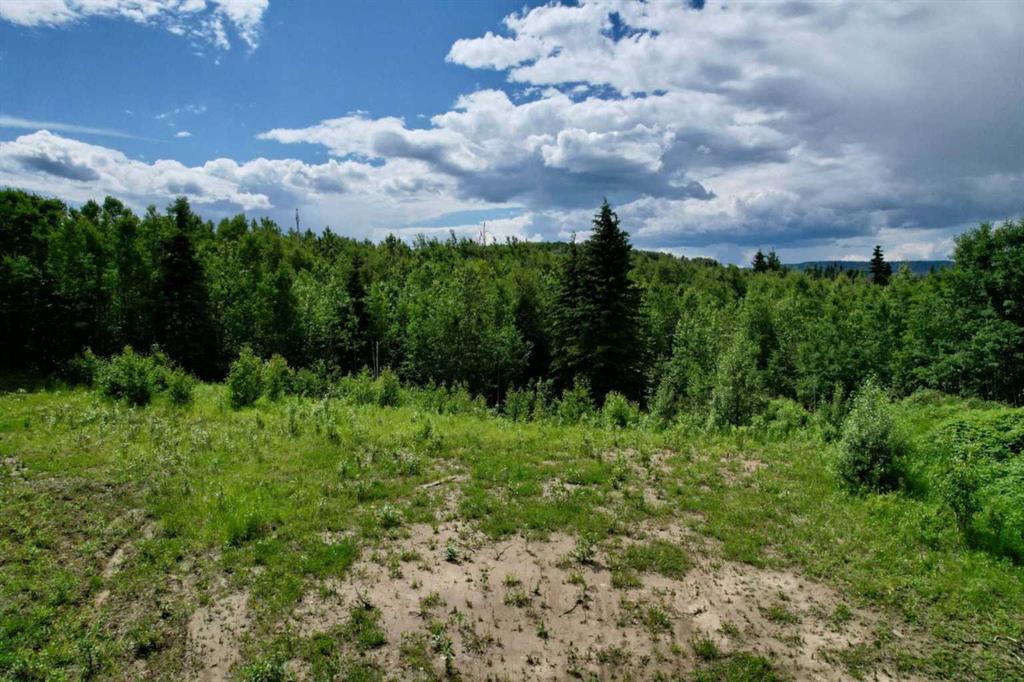 Picture for Lot 19 Mountain Springs  