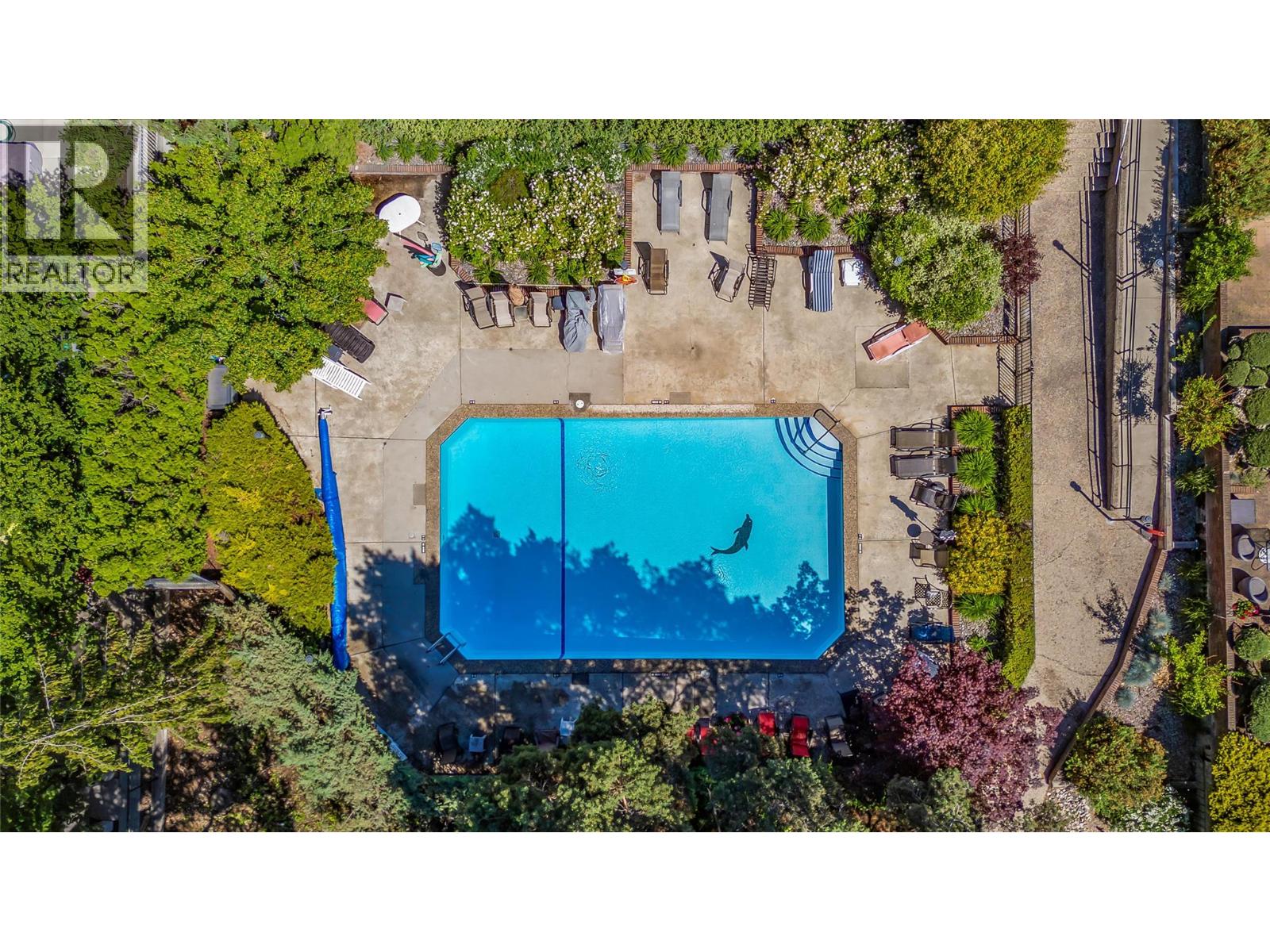 Picture for Unit #216, 1056 Bernard  Avenue https://www.cirrealty.ca/reb/bc/1/10362901_30.jpg