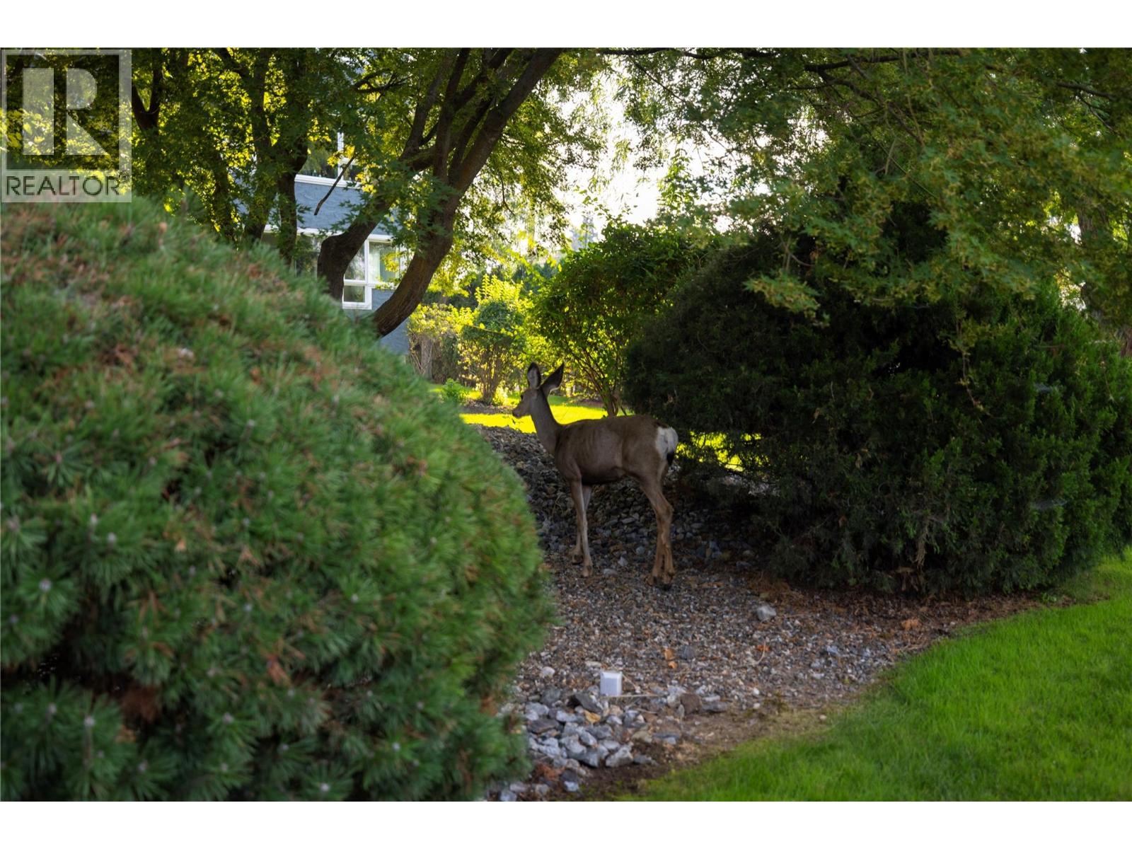 Picture for Unit #115B, 1045 Sutherland  Avenue https://www.cirrealty.ca/reb/bc/1/10364051_19.jpg