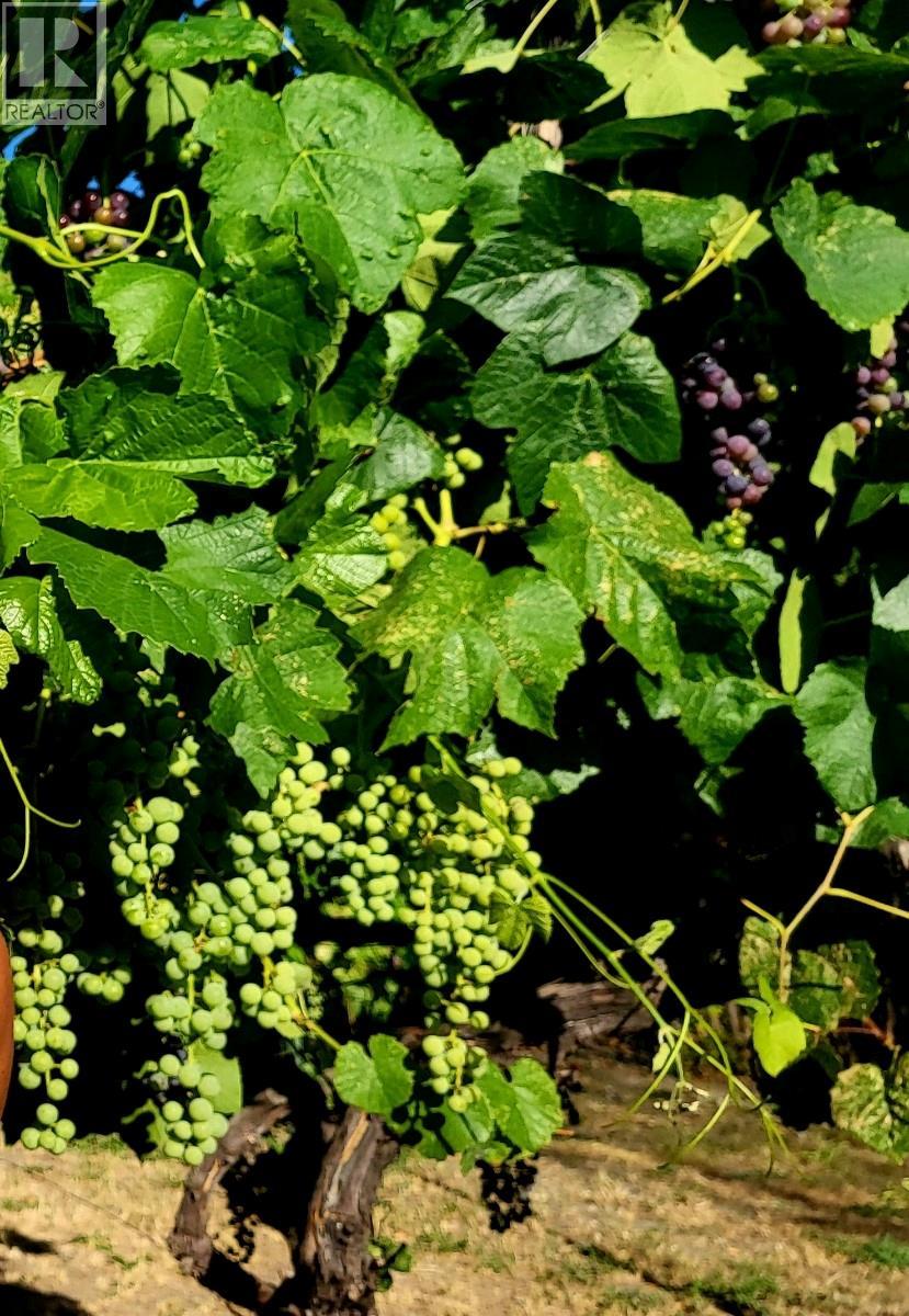 Picture for 1602 85TH  Street https://www.cirrealty.ca/reb/bc/3/10363933_41.jpg