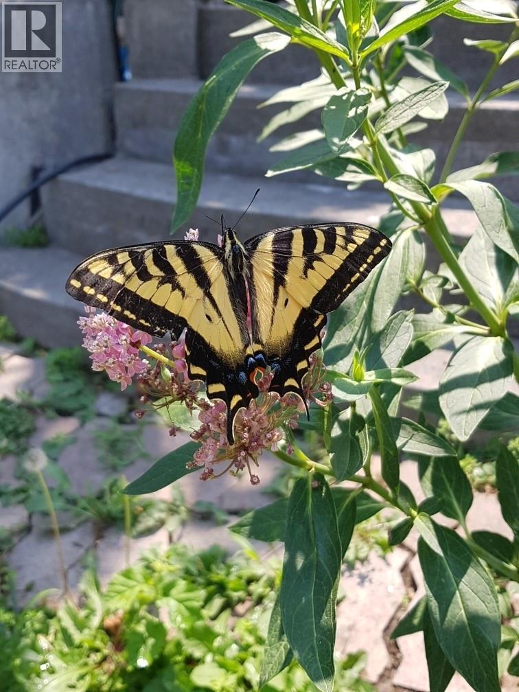 Picture for 1602 85TH  Street https://www.cirrealty.ca/reb/bc/3/10363933_45.jpg