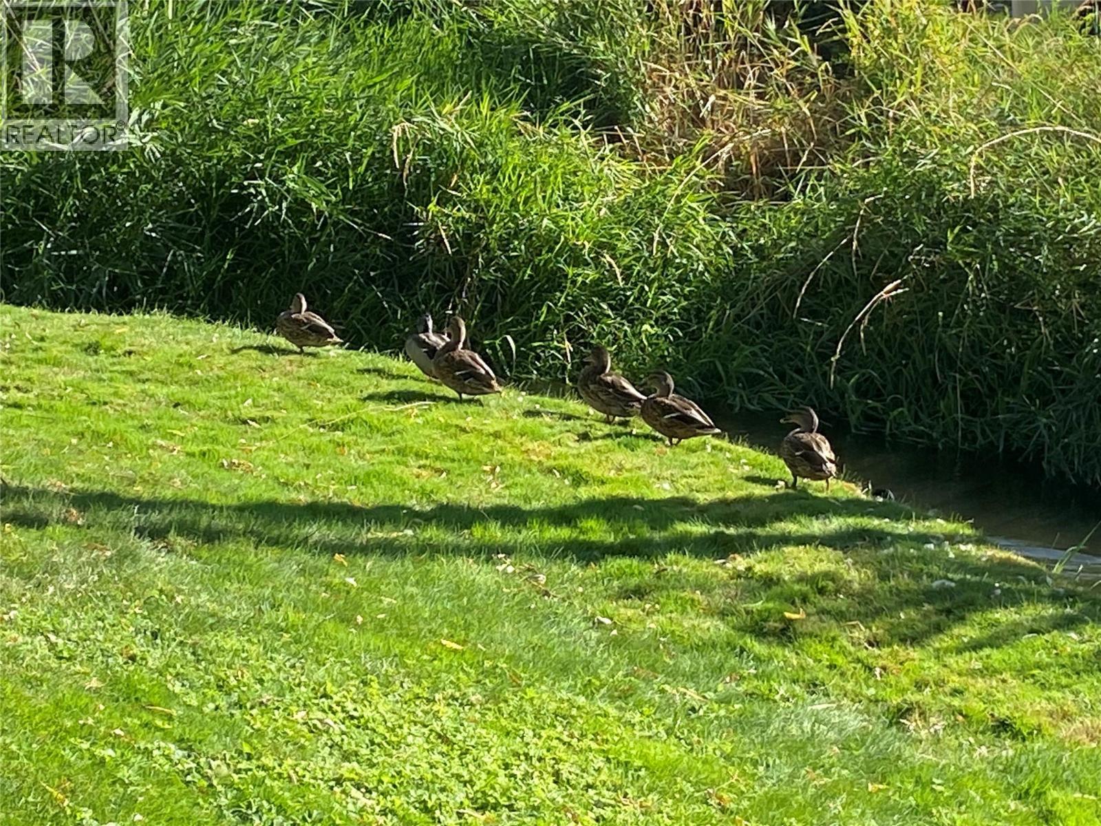 Picture for Unit #101, 1170 Brookside  Avenue https://www.cirrealty.ca/reb/bc/4/10363534_34.jpg