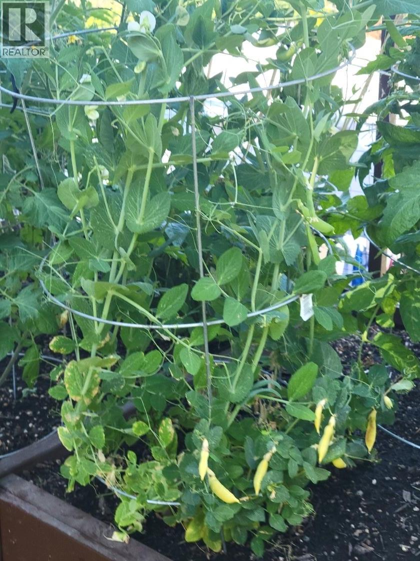 Picture for Unit #93, 4075 McClain  Road https://www.cirrealty.ca/reb/bc/4/10364024_23.jpg