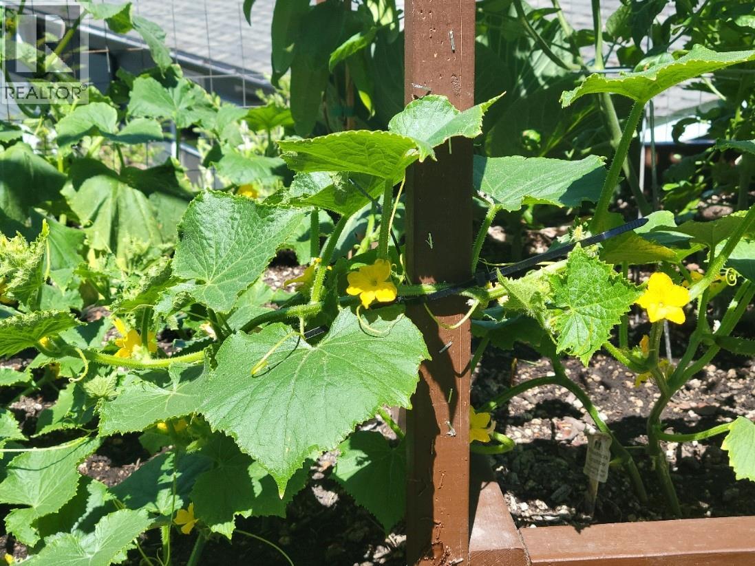 Picture for Unit #93, 4075 McClain  Road https://www.cirrealty.ca/reb/bc/4/10364024_24.jpg