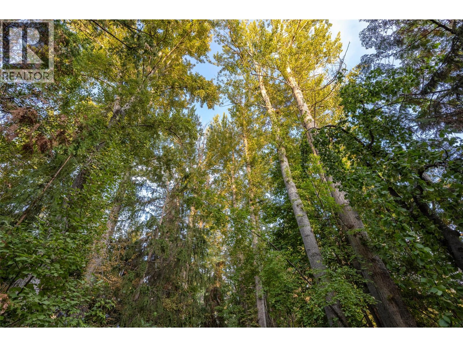 Picture for 4614 Fuller  Road https://www.cirrealty.ca/reb/bc/4/10365464_7.jpg