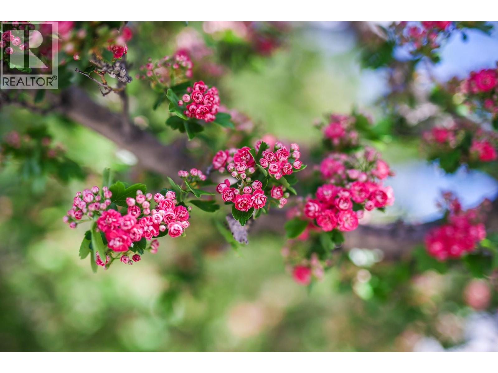 Picture for 8009 87th  Street