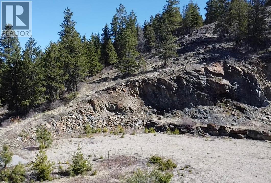 Picture for 591 Sasquatch  Trail https://www.cirrealty.ca/reb/bc/5/10343975_21.jpg