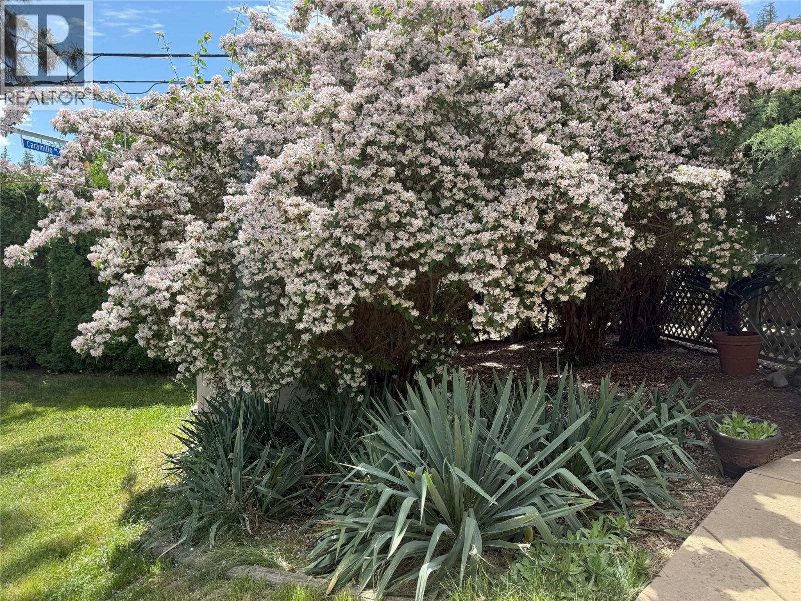 Picture for 599 Clifton  RoadS https://www.cirrealty.ca/reb/bc/6/10366236_39.jpg