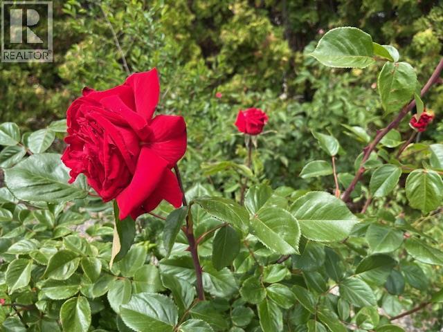 Picture for 4008 LOBELIA  Drive