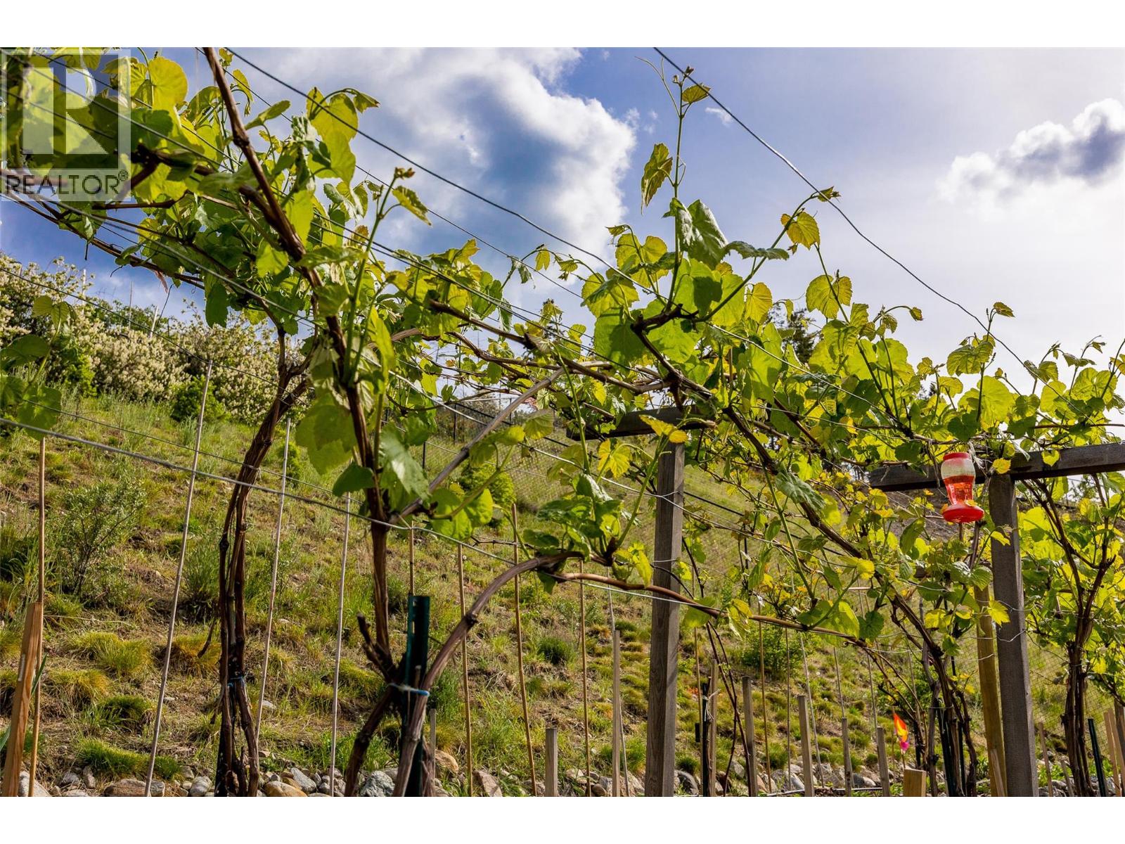 Picture for 5661 Jasper  Way https://www.cirrealty.ca/reb/bc/7/10363987_53.jpg