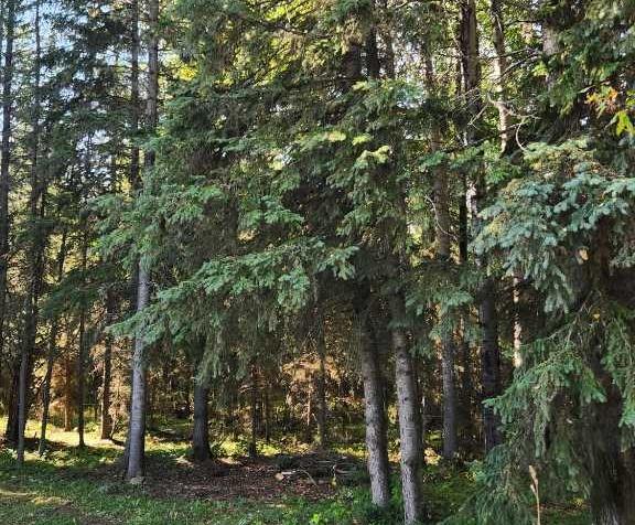 Picture for  Range Road 6.2  