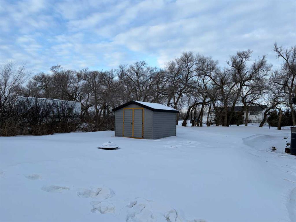 Picture for 100 Balaclava Street 