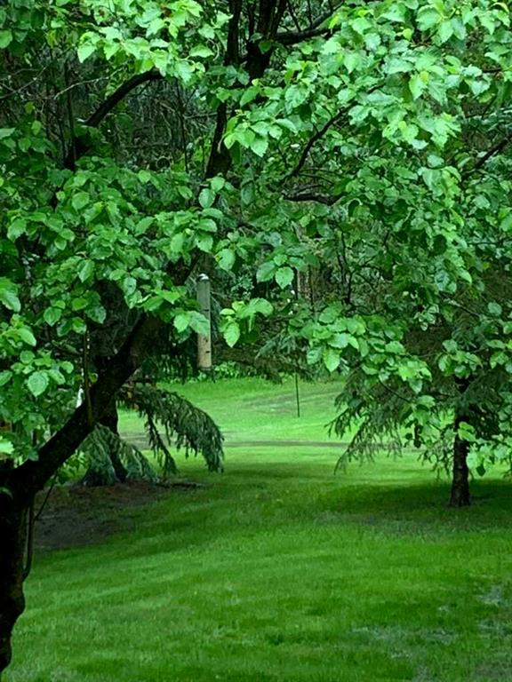 Picture for 111 Crystal Springs Drive 