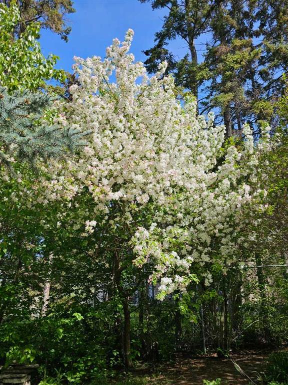 Picture for 6749 59 Avenue 