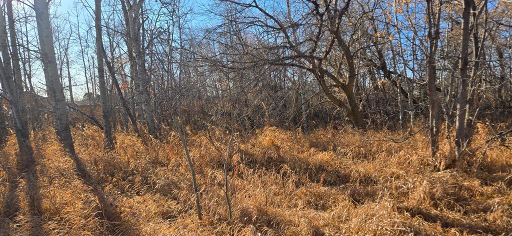 Picture for 4832 46 Street 