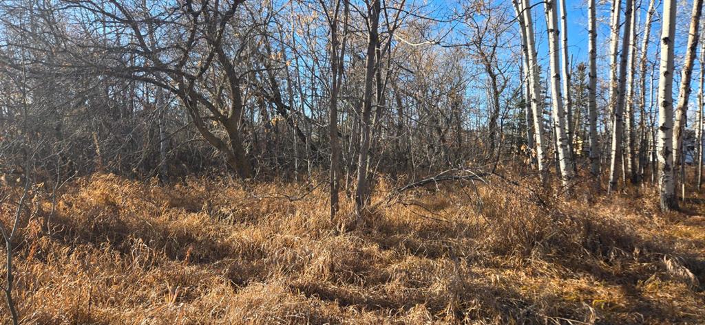 Picture for 4832 46 Street 