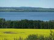 Picture for 14, 420069 Range Road 284  