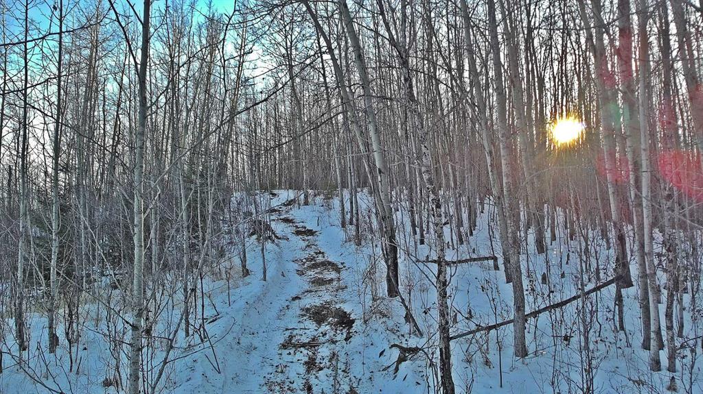 Picture for Lot 13 RR14  