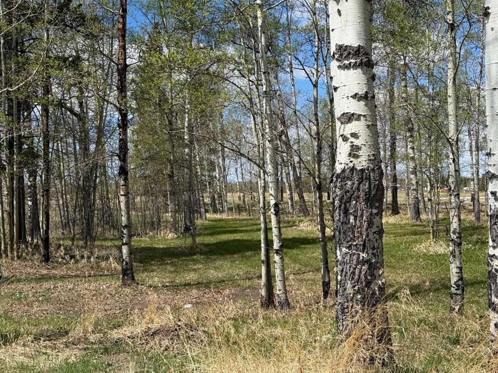Picture for 344019 22 Highway 