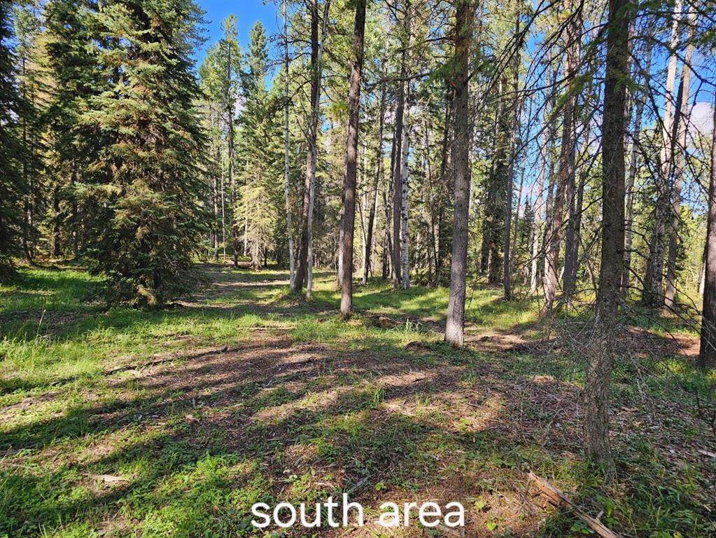 Picture for  Pine Ridge Alley 