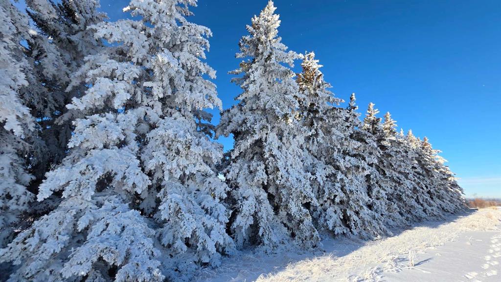 Picture for NW 19-38-26 W4  