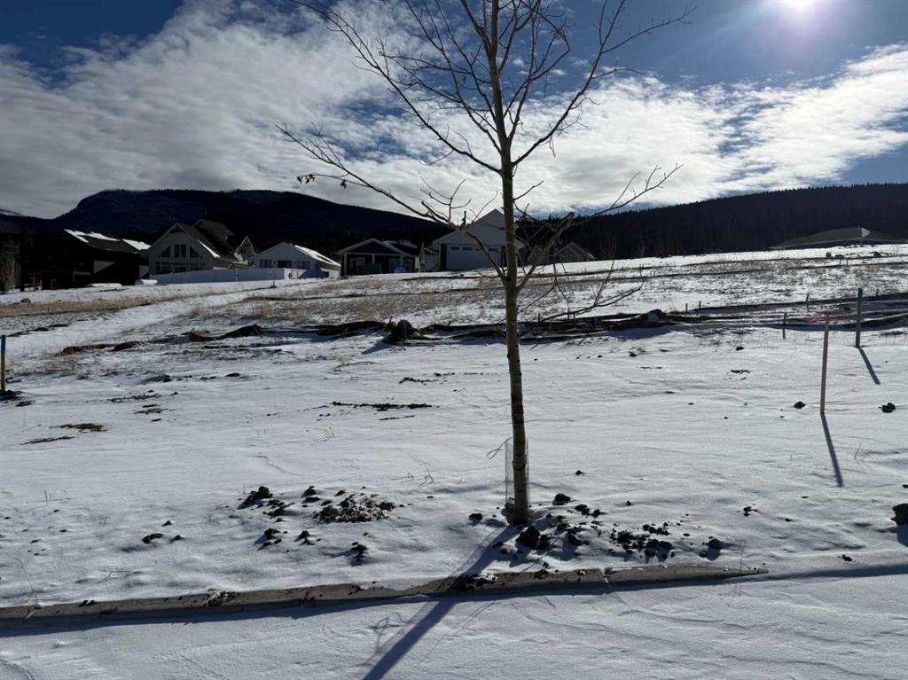 Picture for 437 LILY Avenue 