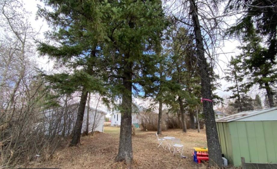 Picture for 207 Vrolson Road 