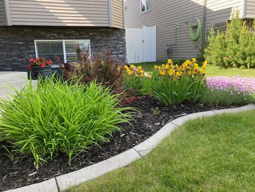 Picture for 8 Van Dorp Street 