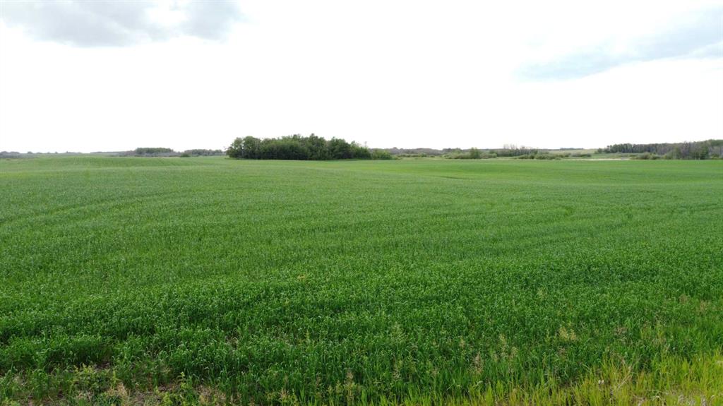 Picture for  163 Range 