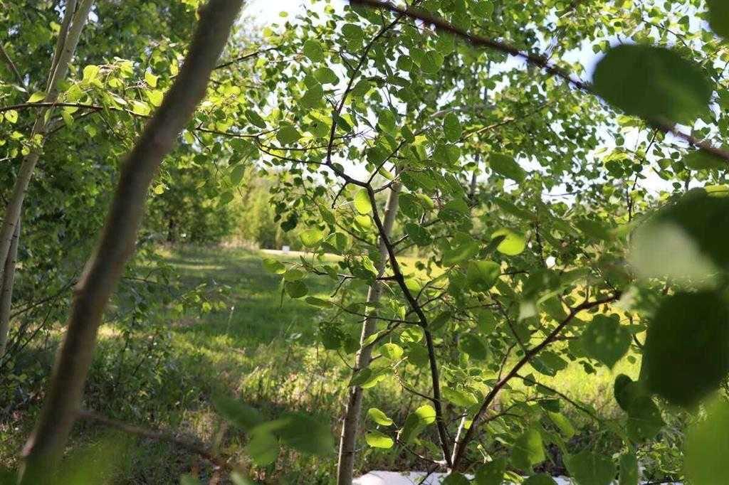 Picture for 5 28124 Township Rd 412  