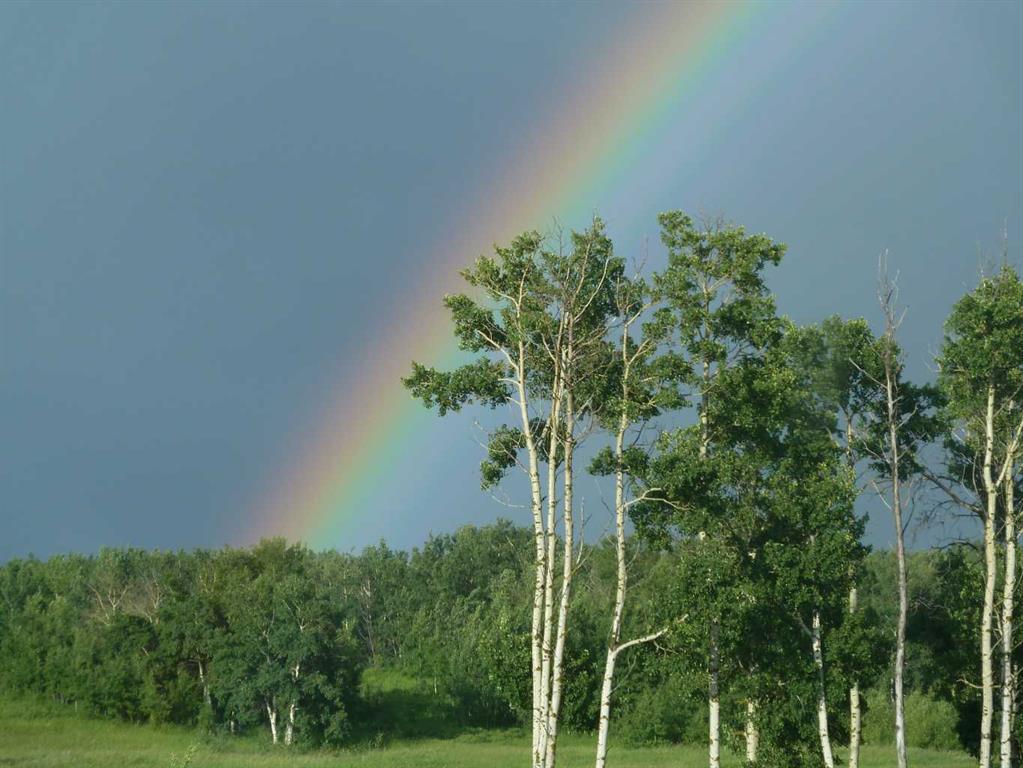 Picture for 7, 420069 Range Road 284  