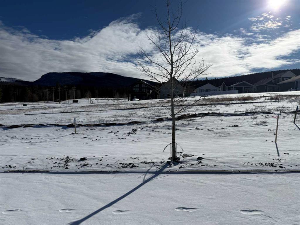 Picture for 425 LILY Avenue 