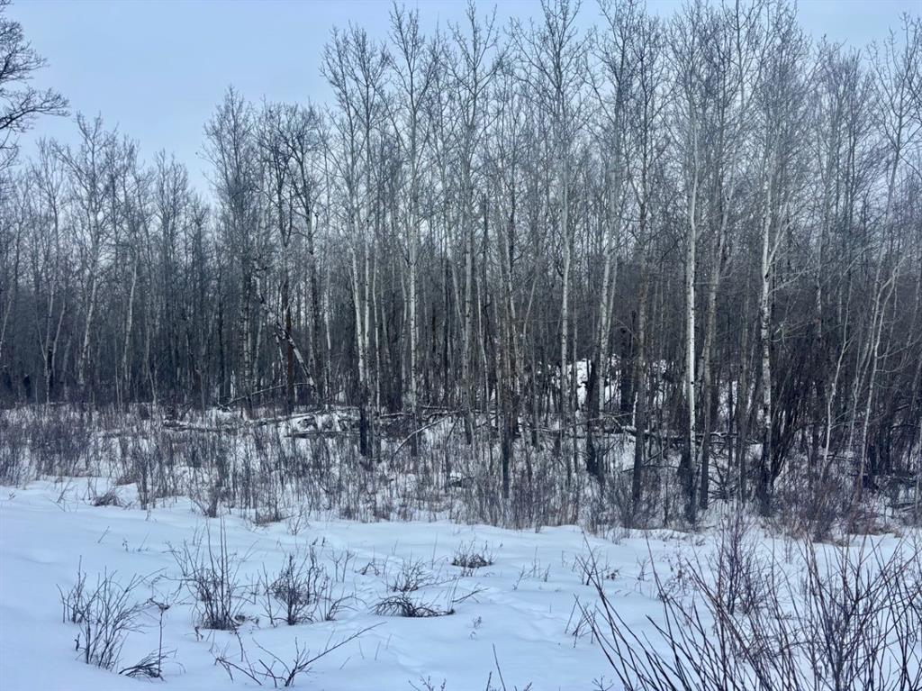 Picture for 26 50220 204 Range 