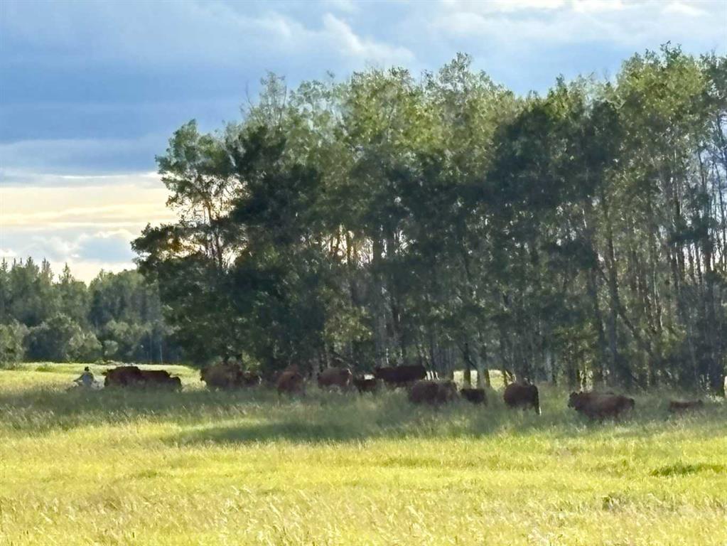 Picture for  Twp RD 500 RR 40  