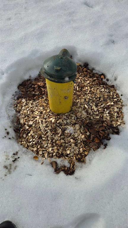 Picture for 77, Crystal Springs Drive Drive 